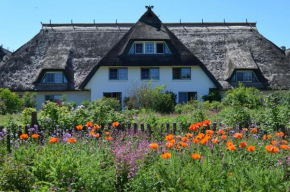 Hotel Haferland in Wieck Am Darß